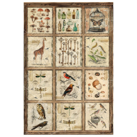 Ciao Bella Cabinet of Curiosites A4 Rice Paper Mixed (4pcs) (CBRA001)